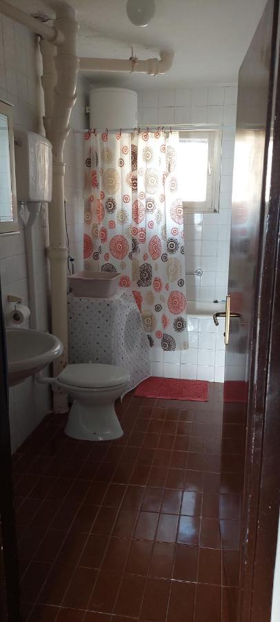 Buena Vista Apartment