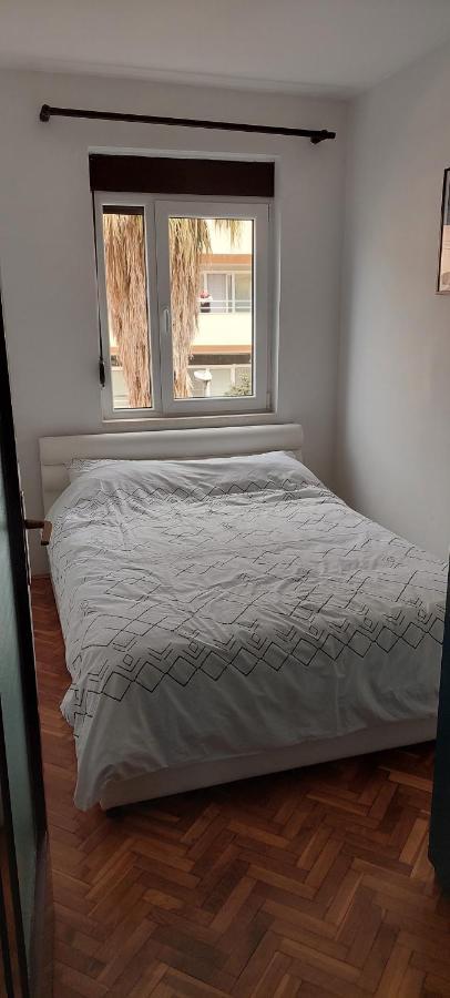 Buena Vista Apartment